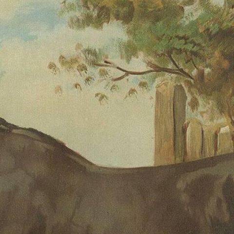 Original Antique Print of the Australian Horse by O. Eerelman, 1898, close-up 1