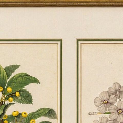 Pair Antique Botanical Lithographs, Sorbus Toringo & Phlox, 1856, close-up 1