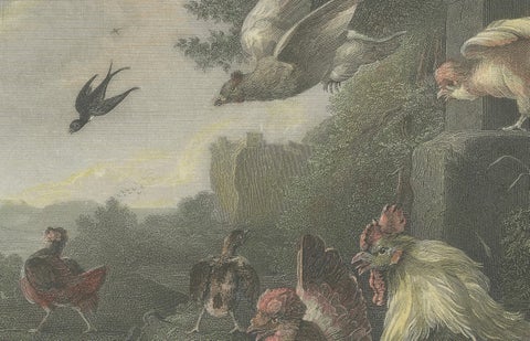 Defending the Flock: The Poultry's Stand Against the Hawk, Hand-colored ca.1860, close-up 2