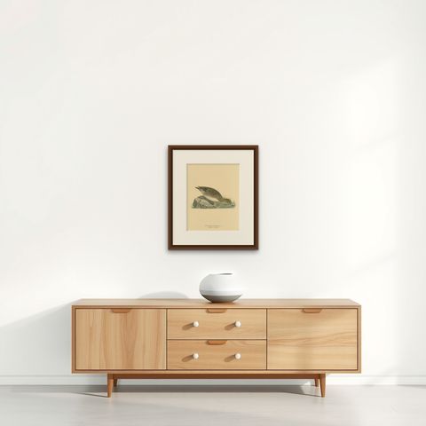 Autumn Repose: Old Bird Print of The Eurasian Wigeon by Magnus von Wright, 1929, shown framed on a wall