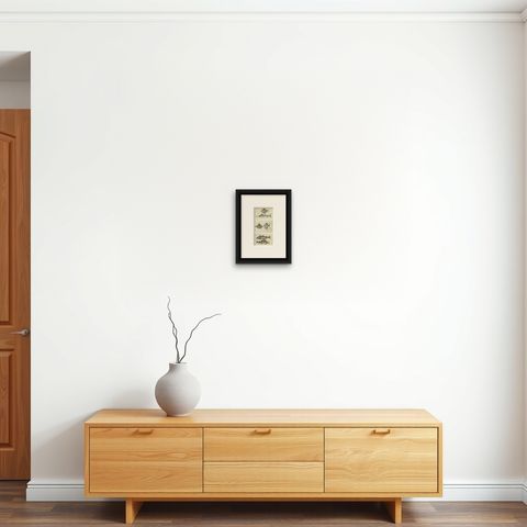 Set of 3 Antique Fish Prints, Sword Fish, John Dory, Haddock, 1832, shown framed on a wall