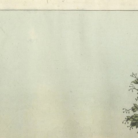 Chinese Landscape with Camel, Rhinoceros and Elephant, Antique Print, 1815, close-up 4
