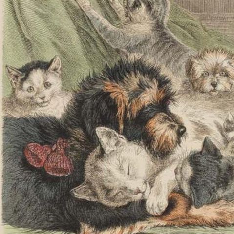 Antique Print of Cats and Dogs, Hand-Colored German Wood Engraving, c.1909, close-up 2