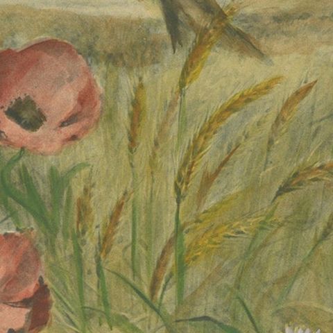 Lark Among Poppies - Exquisite Giacomelli Ornithological Print, Circa 1891, close-up 6