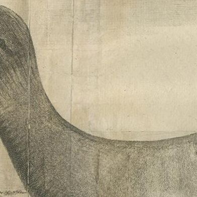 Antique Print of Two Sea Lions on the Shore of Juan Fernandes by Anson, '1749', close-up 2