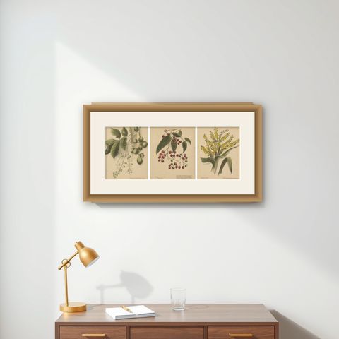 New Zealand Native Plants & Fruits, Set of Three Botanical Lithographs, 1890, shown framed on a wall