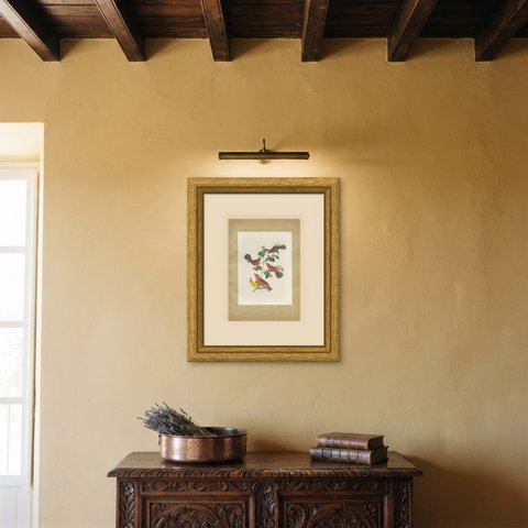 Red Tanagers, Brazilian Bird Print, Descourtilz, 1944, shown framed on a wall