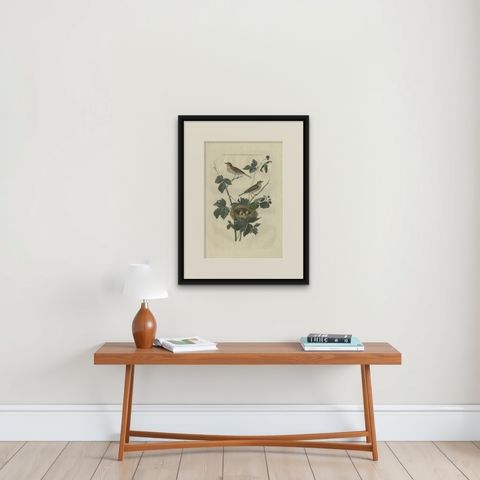 Antique Bird Print of the Lesser Whitethroat by Sepp & Nozeman, 1789, shown framed on a wall