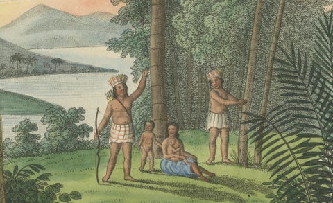 Antique Date Palm & Coconut Botanical Scene, Phoenix & Cocos, c.1831, close-up 5