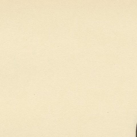 Antique Bird Print of a Male Long-Tailed Duck 'in summer' by Von Wright '1929', close-up 1