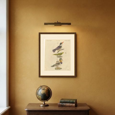 Kingfisher and Mandarin Duck, Antique Bertuch Print, Vienna, circa 1805, shown framed on a wall