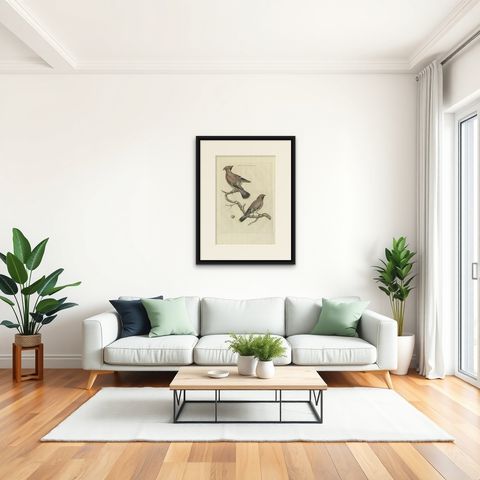 Bohemian Waxwing, Ampelis Garrulus from Nederlandsche Vogelen, 1797, shown framed in a room