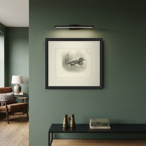 Ferruginous Duck Drake among Reeds, Plate CLXXXI after Lilian Medland, c. 1909, shown framed on a wall