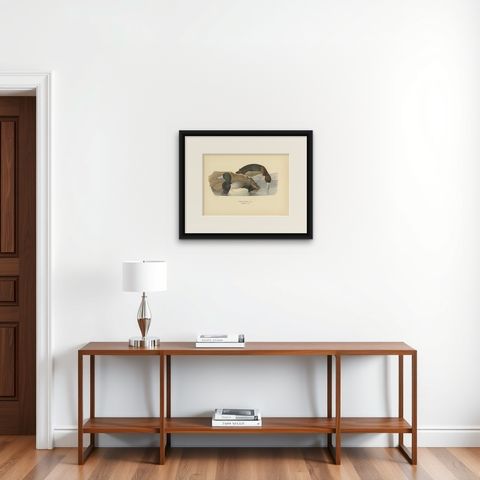 Antique Bird Print of the Greater Scaup by Von Wright, 1929, shown framed on a wall