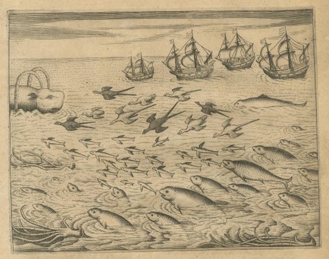 Pair of De Bry Engravings of Birds, Fish & Sea Plants en Route to India, c.1598, close-up 2