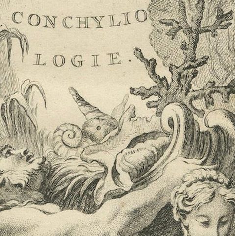 Allegorical Print of Lithology and Conchology by Boucher Fils, 18th Century, close-up 6