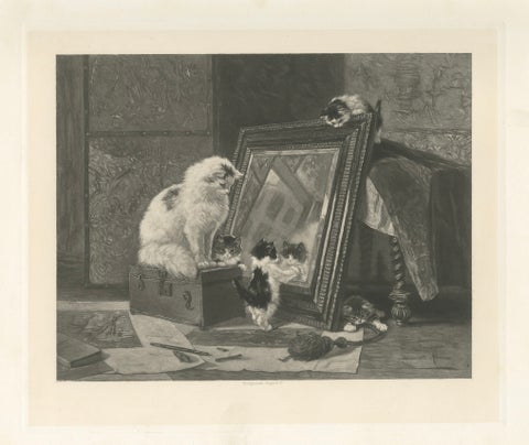 "Curiosity Reflected" - Cats and Kittens by Henriette Ronner (1894), close-up 1