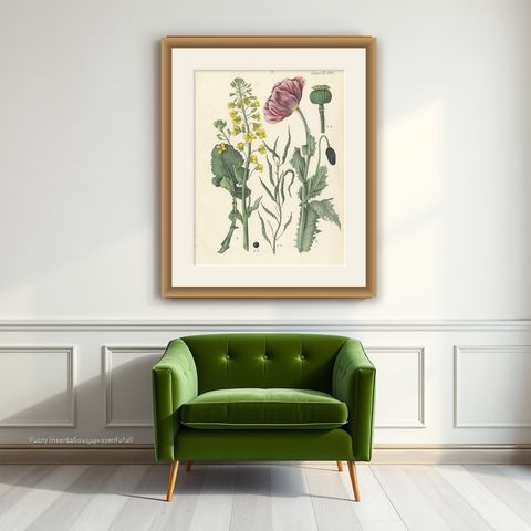 1854 Hand-Colored Botanical Lithograph of Rapeseed and Poppy, shown framed on a wall