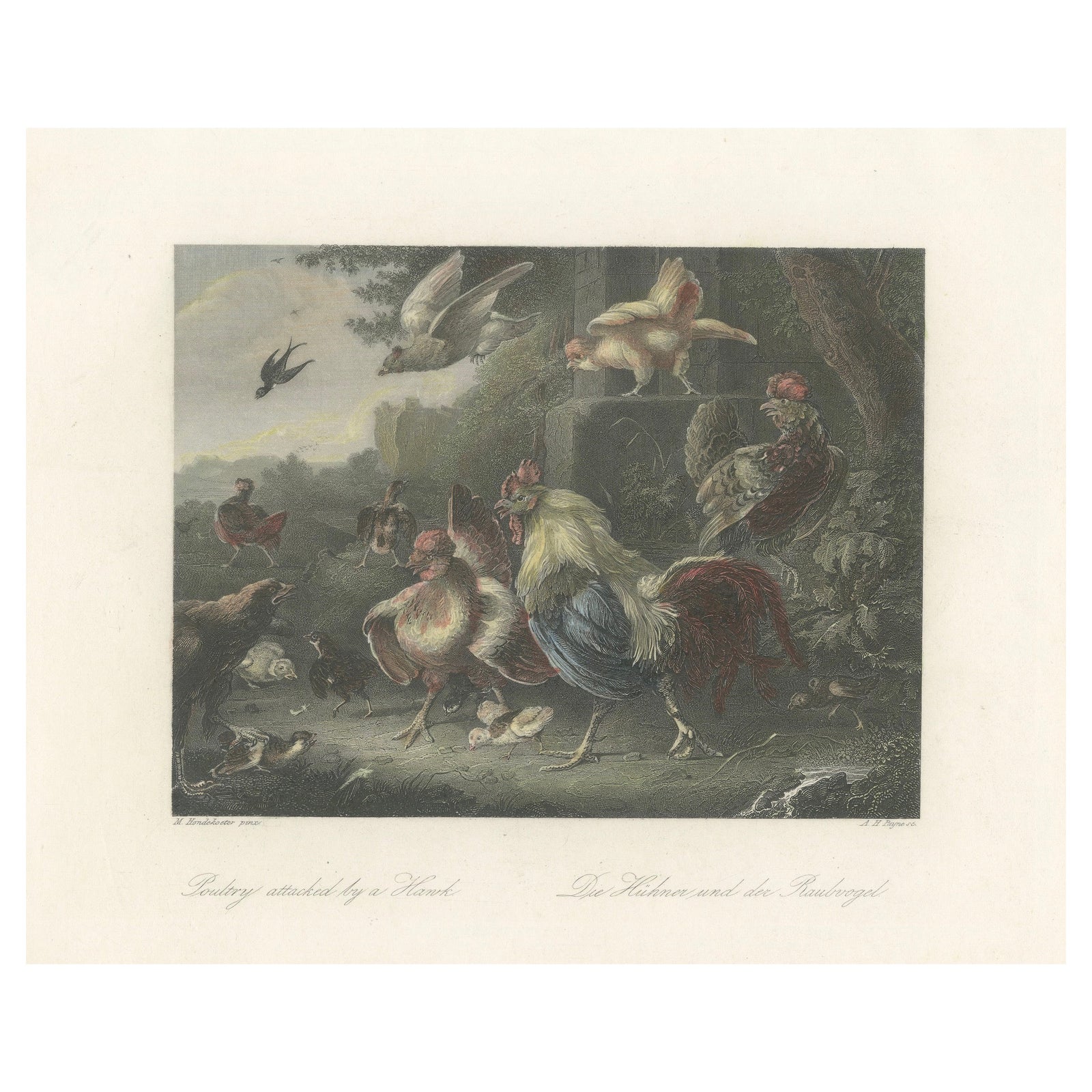 Defending the Flock: The Poultry's Stand Against the Hawk, Hand-colored ca.1860