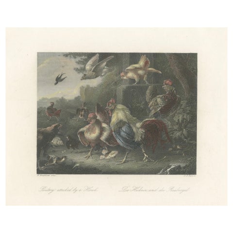 Defending the Flock: The Poultry's Stand Against the Hawk, Hand-colored ca.1860