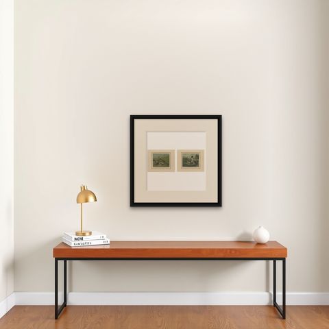 Elegant 1880 Lithographs of Ducks: White-headed Duck and Northern Pintail, shown framed on a wall