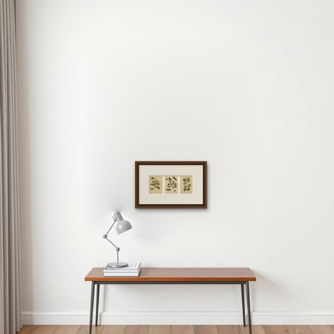 Antique Butterfly and Caterpillar Engravings on Host Plants, Albin 1720, shown framed on a wall