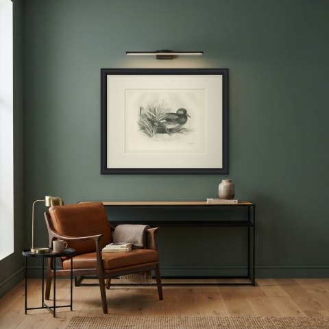 Gadwall Drake among Reeds, Plate CLXXI after Lilian Medland, c. 1909, shown framed in a room