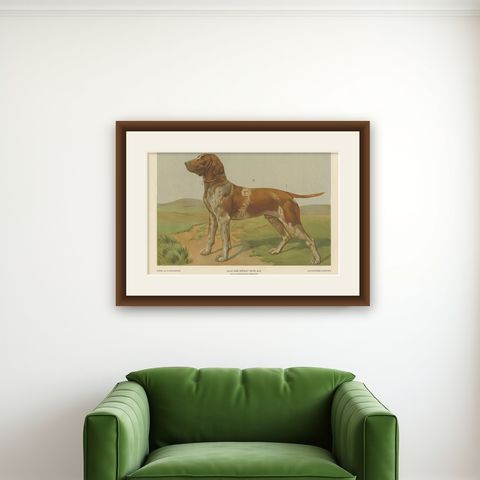 Antique Print of a Hound Dog by Th. Breidwiser, 1879, shown framed on a wall