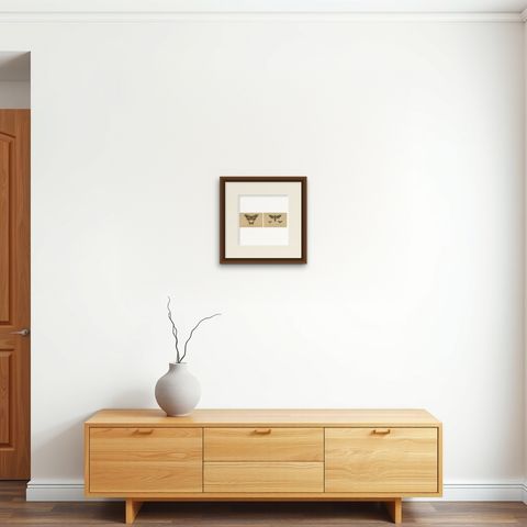 Antique Hand-Colored Moth and Butterfly Prints - Rare 19th-Century Illustrations, shown framed on a wall