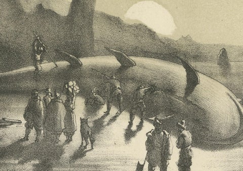 Maritime Wonders: Beached Leviathans of the 19th Century in Siberia, circa 1850, close-up 2