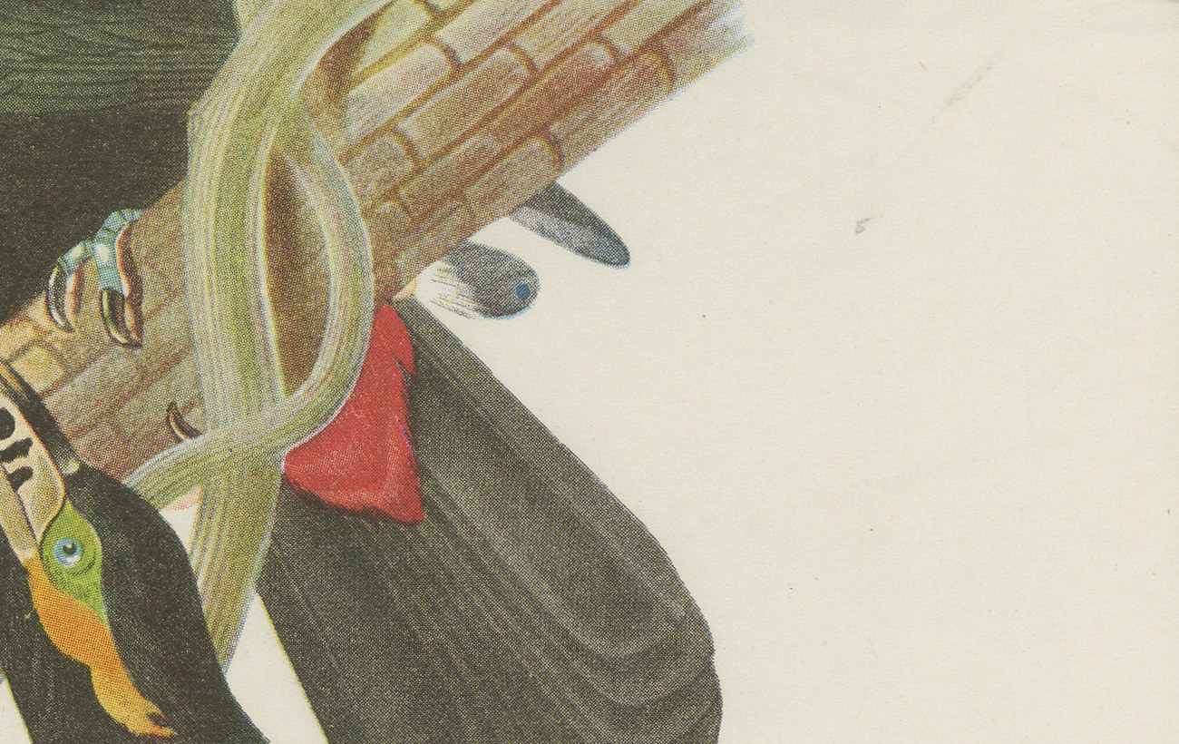 Toucans and Aracaris, Brazilian Bird Print, Descourtilz, 1944, view 4