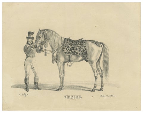 Antique Arabian Horse Lithograph “Vezier” with Groom, Stuttgart 1846