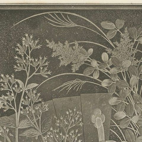 Japanese Fans and Floral Heliogravure Print by G. A. Audsley, Paris, c. 1880, close-up 6