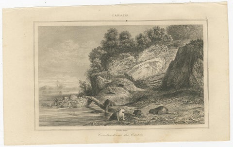 Beaver Dams on a Rocky Shore, 19th Century Canadian Wildlife Engraving, view 2