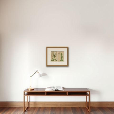 Set of 2 Antique Botany Prints, Nicotiana Suaveolens 'c.1880', shown framed on a wall