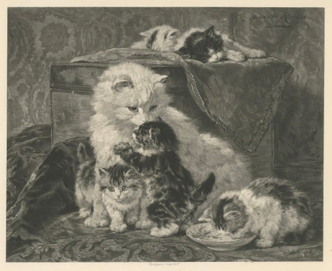 "Mother's Love" - Cats and Kittens by Henriette Ronner (1894), close-up 5
