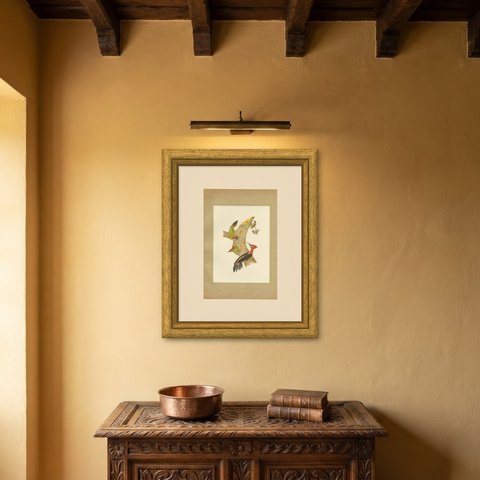 Woodpeckers at a Tree Stump, Brazilian Bird Print, Descourtilz, 1944, shown framed on a wall