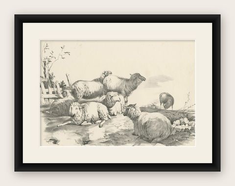 No. 22 Antique Print of Sheep by Cooper, 1839, shown framed