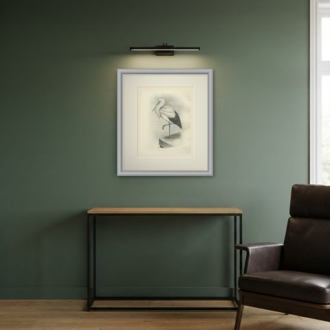 White Stork Standing on One Leg, Plate CLVI after Lilian Medland, c. 1909, shown framed in a room