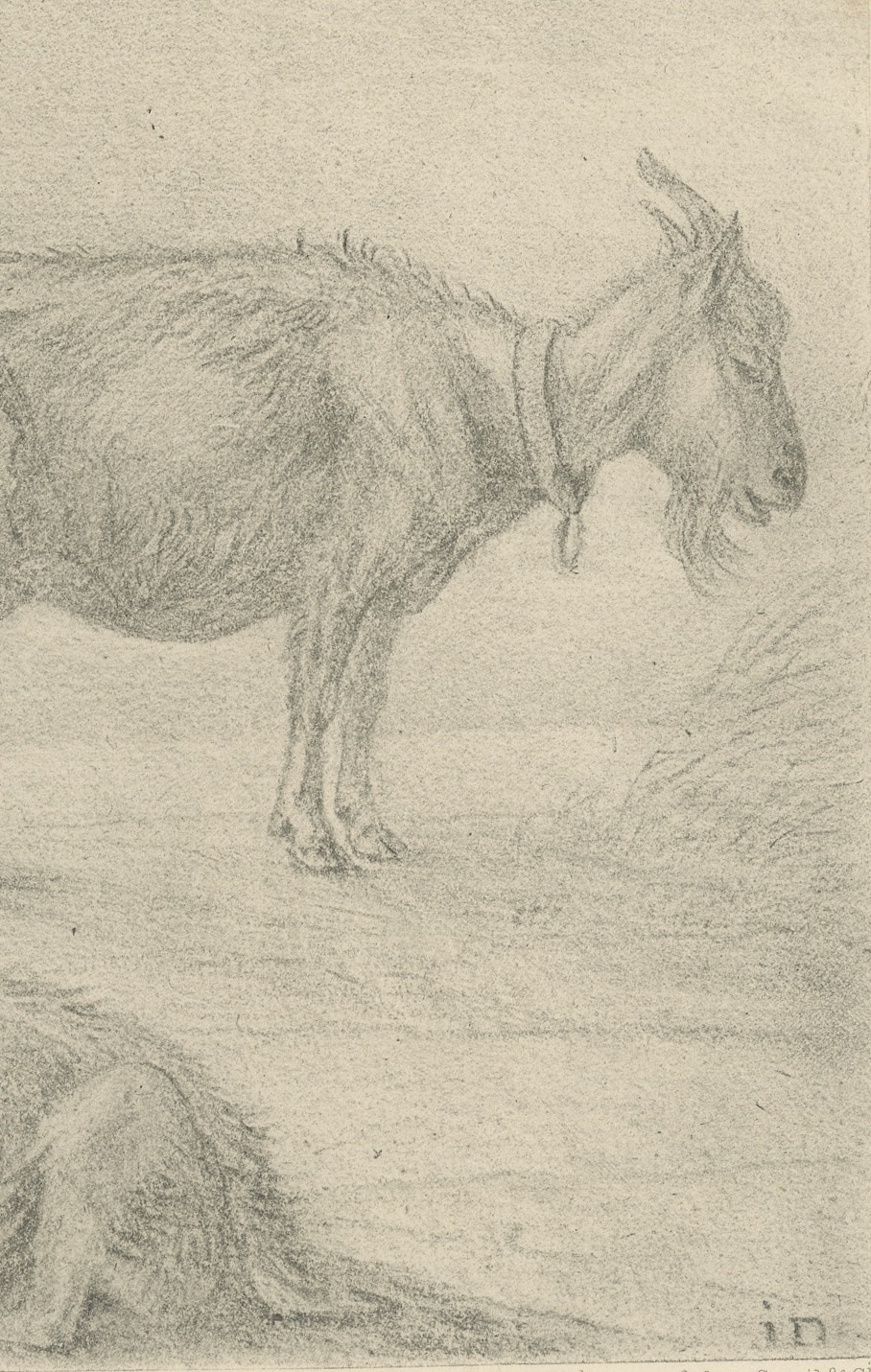 Study of Three Goats, Antique Goupil Photogravure after a Drawing, circa 1880, view 4