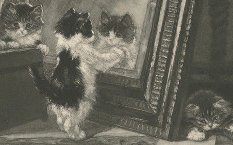 "Curiosity Reflected" - Cats and Kittens by Henriette Ronner (1894), close-up 3