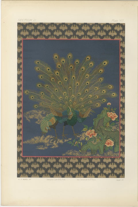 Japanese Peacocks in Full Plumage: Antique Lithograph, 1880s, view 2