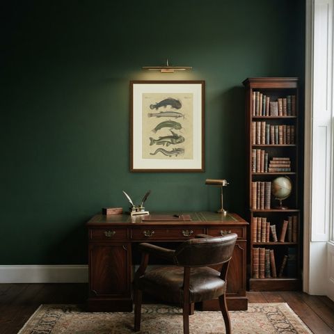 Five Catfish with Long Barbels, Antique Bertuch Print, circa 1815, shown framed in a room