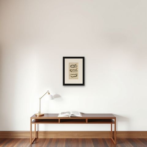 Snake Print of Worm Snake, Philippine Uropeltis and Amphisbaena, c.1850, shown framed on a wall
