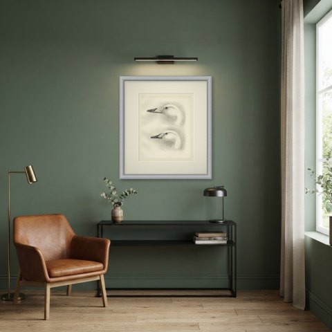 Heads of the Whooper Swan and Bewick's Swan after Lilian Medland, c. 1909, shown framed in a room