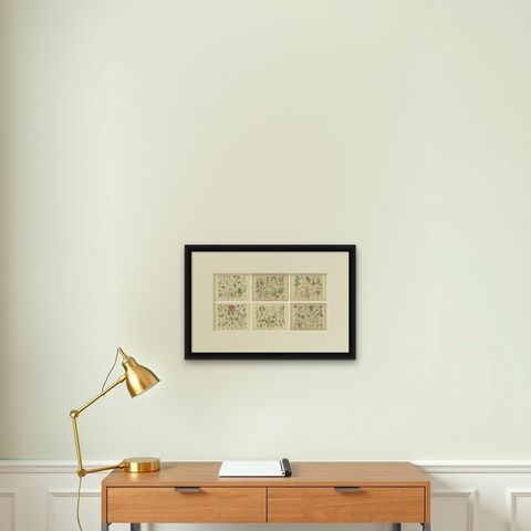 Antique Botanical Prints Set, German Wildflower Atlas Plates, Stuttgart 1885, shown framed on a wall