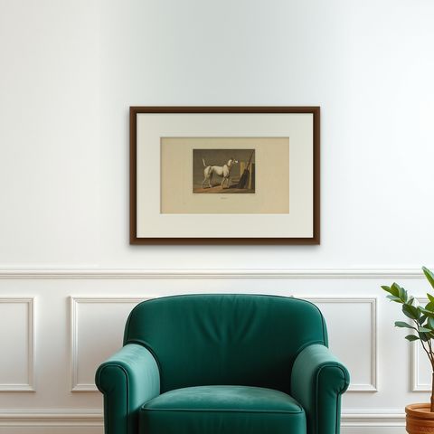 Antique Aquatint of a Dog named 'Crab' by J. Clark, circa 1820, shown framed on a wall