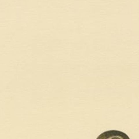 Antique Bird Print of a Male Broad-billed Sandpiper by Von Wright, 1929, close-up 1