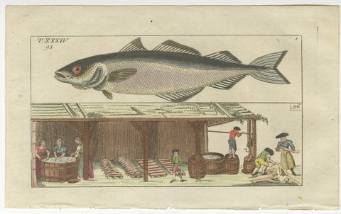 Set of 4 Antique Fish Prints - Beluga Sturgeon - Pollock - Atlantic Cod, view 5