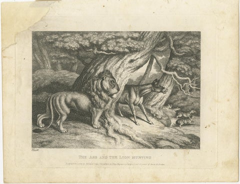 Original Antique Print of a Lion and Donkey hunting, view 2